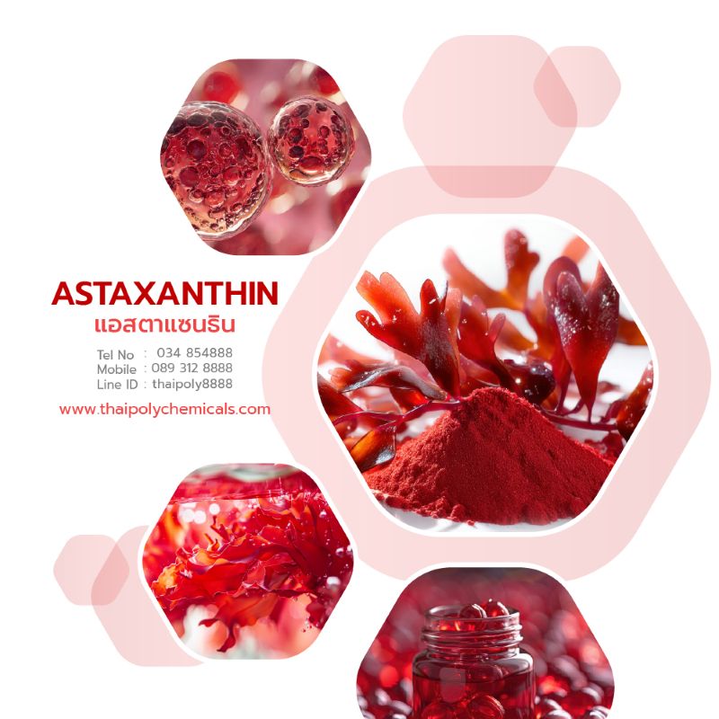 Astaxanthin, Anti-aging, แอสตาแซนธิน TEL0893128888 TEL034854888 LINE thaipoly8888